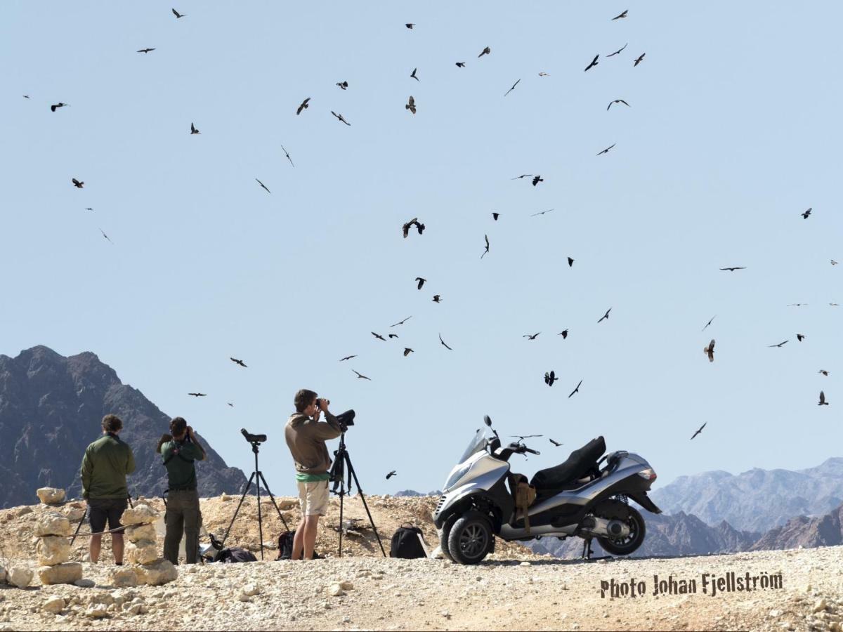 The Birdwatchers Nest Be'er Ora 외부 사진